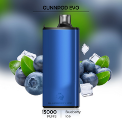 Blueberry Ice